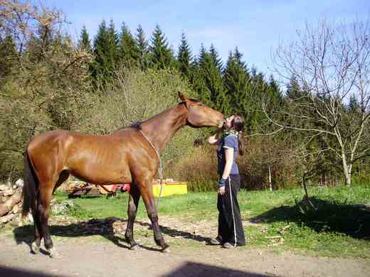 Jaro s koňmi 2010