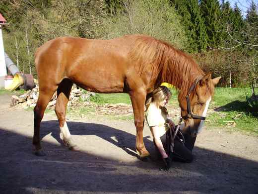 Jaro s koňmi 2010